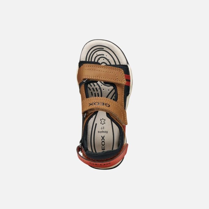 Borealis Pojkar