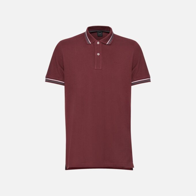 Polo Man Polo Man